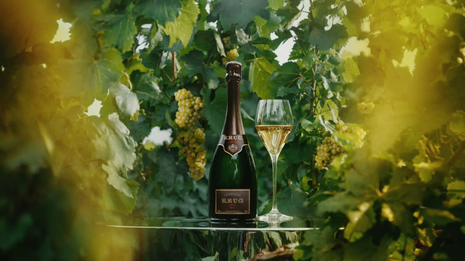 Krug Vintage 2013 Alko90.sk šampanské víno